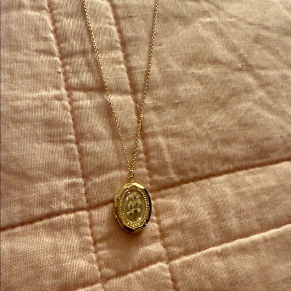 NWT Altar'd State Gold Oval Locket Pendant Necklace - Picture 2 of 6